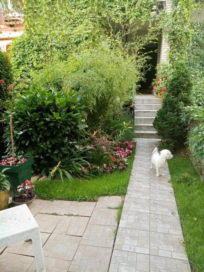 Dusica Apartmani Ягодина Экстерьер фото
