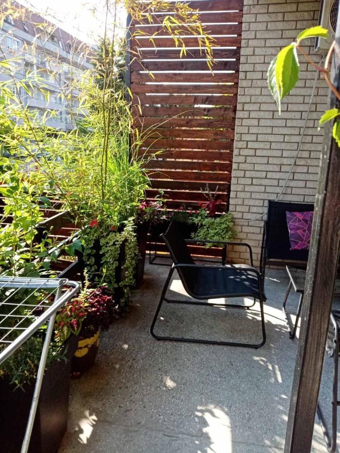 Dusica Apartmani Ягодина Экстерьер фото