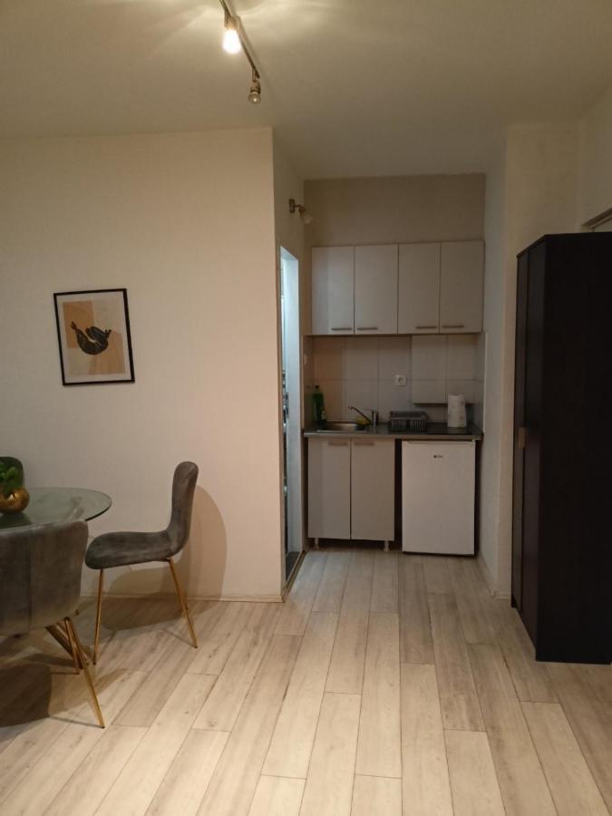 Dusica Apartmani Ягодина Экстерьер фото