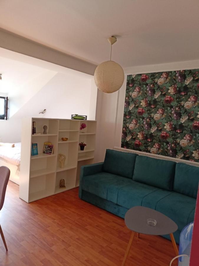 Dusica Apartmani Ягодина Экстерьер фото