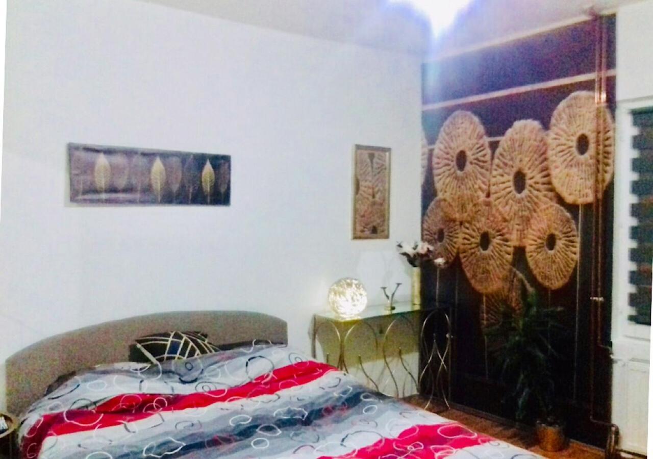 Dusica Apartmani Ягодина Номер фото