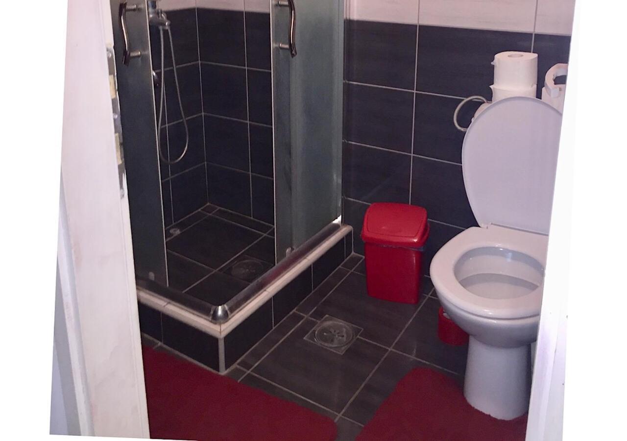 Dusica Apartmani Ягодина Номер фото