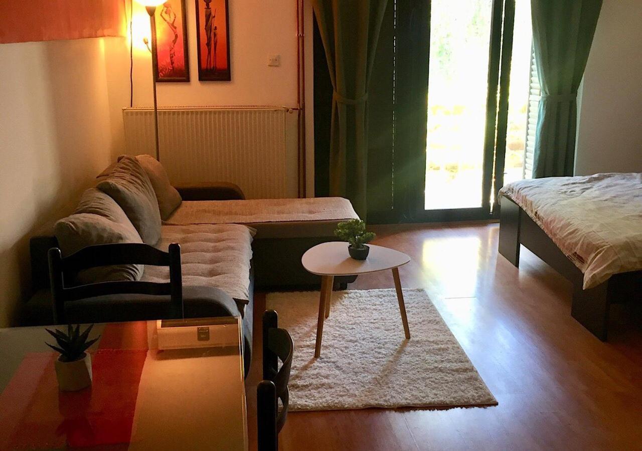 Dusica Apartmani Ягодина Экстерьер фото