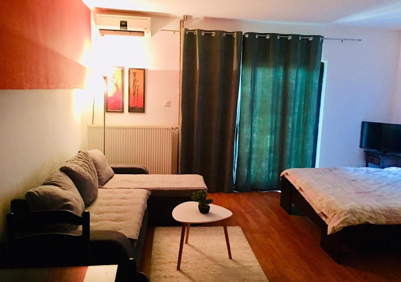 Dusica Apartmani Ягодина Экстерьер фото