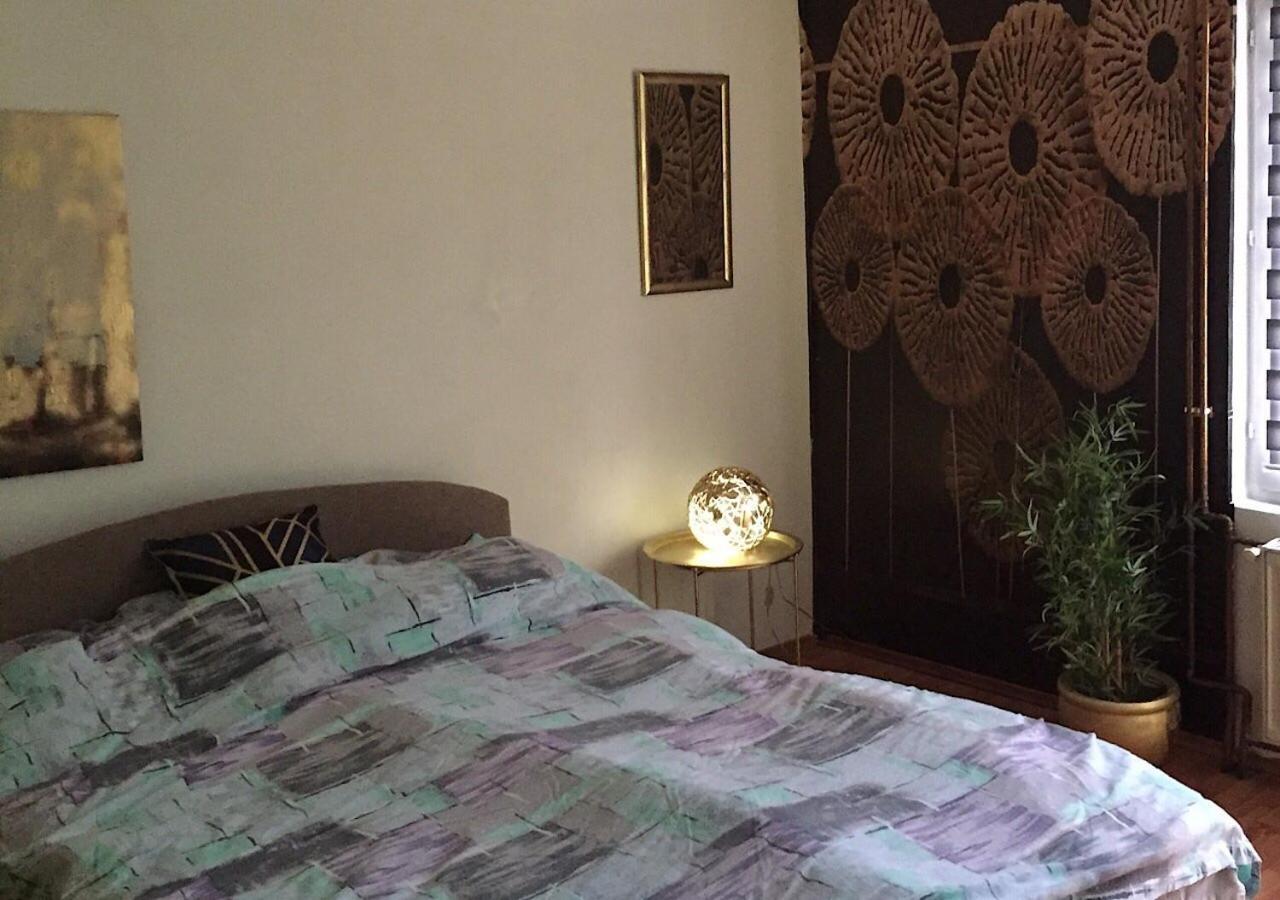 Dusica Apartmani Ягодина Экстерьер фото